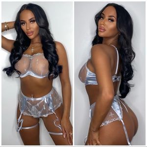 ❤️ NEW sexy silver transparent embroidery lingerie set